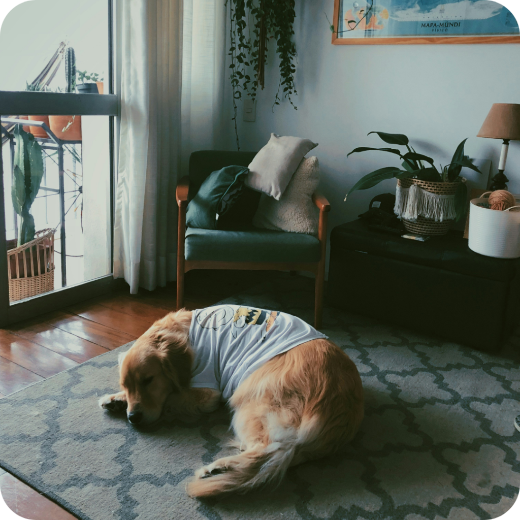 Staying warm in winter